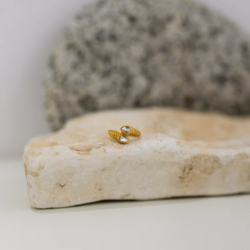 Aspis Anello