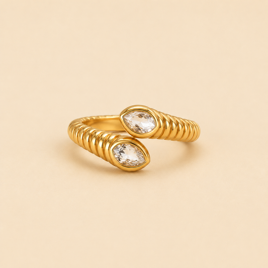 Aspis Anello