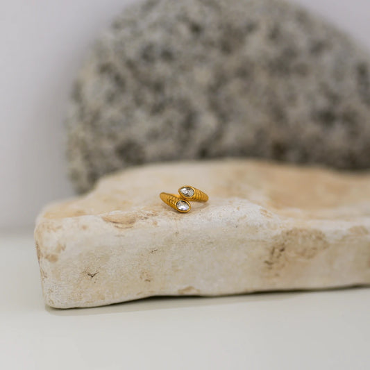 Aspis Anello